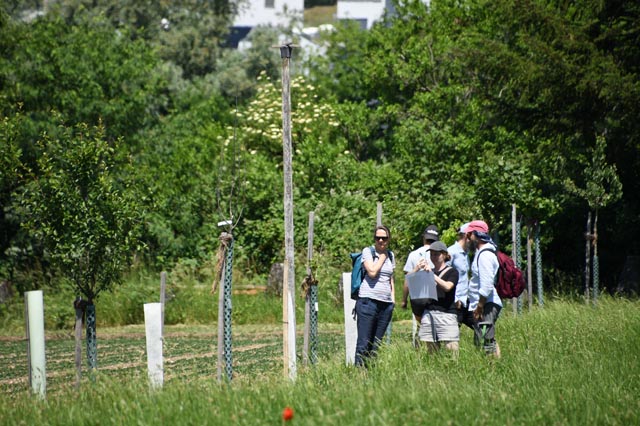 Teilnehmende des Praxisforums in der Agroforst-Anlage am FiBL. Foto: Simona Moosmann, FiBL