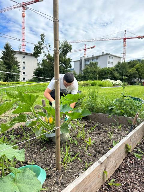 Hilfe bei Gartenarbeiten. Foto: zVg