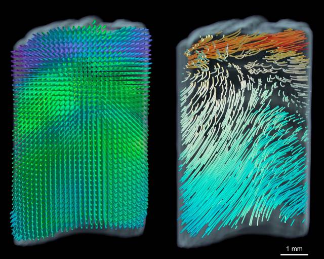 Die einzelnen Bildpunkte im Tomogramm lassen noch keine Helix vermuten (linkes Bild). Erst wenn man ihre räumliche Orientierung miteinander verbindet, offenbaren sich die beiden Spiralen (Bild rechts). © Adrian Rodriguez-Palomo et al.