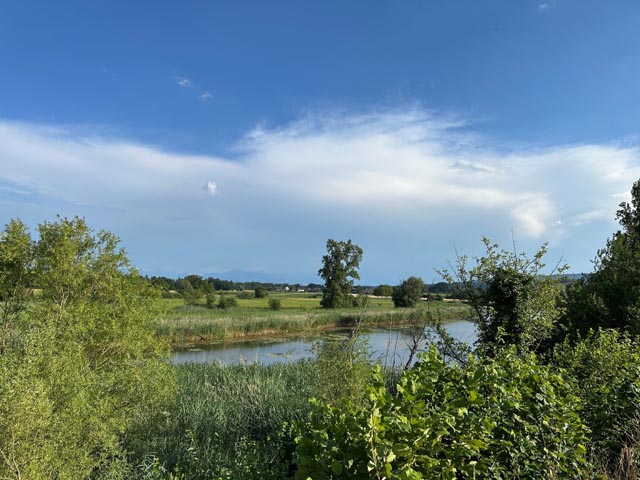 Foto: zVg