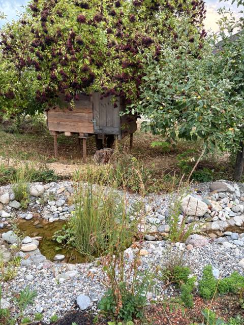 Abendlicher Gartenrundgang. Foto: zVg
