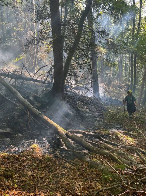 In einem Waldstück bei Eptingen kam es zu einem Brand.
