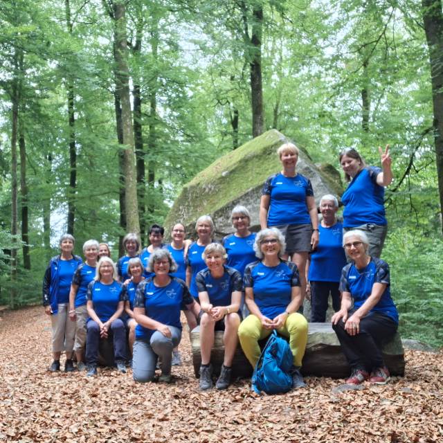 Die Turnerinnen des TSV Frick GymFit besuchten den eindrücklichen Erdmannlistein. Foto: zVg