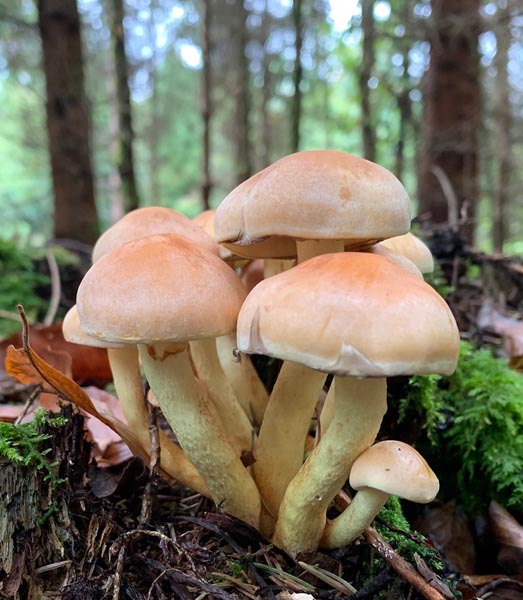 Foto: Margrit Freudemann, Kaisten