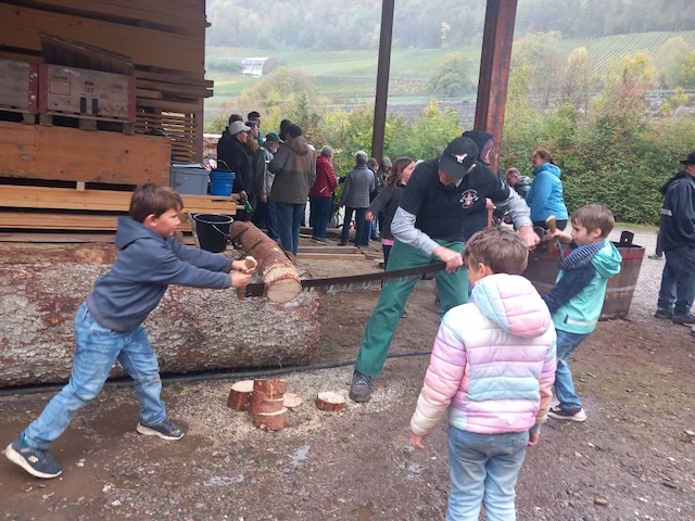 Selber Holzscheiben sägen mit der grossen Handsäge. Foto: zVg