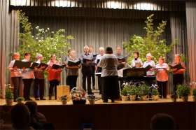Der Gemischte Chor Staffeleggtal sang sich durch die Schweizer Musiklandschaft. Foto: zVg