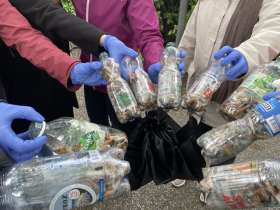  In nur 20 Minuten bereits rund 800 Stummel zusammentragen. Foto: zVg